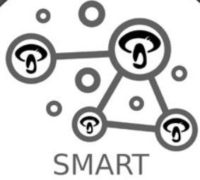 Small Logo